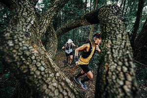 BIB: 
                            <button type="button" onclick="openModal(25392280)" class="btn btn-primary btn-sm float-right btn-popup" data-toggle="modal" data-target=".modal-high-quality">
                        <i class="fas fa-shopping-cart"></i> Add to Cart
                    </button>
                                            <button type="button" onclick="isThisMe(25392280, true)" class="btn btn-success btn-sm float-right btn-popup btn-isme hidden" data-toggle="tooltip" data-placement="bottom" title="นี่คือรูปของคุณใช่ไหม คลิกที่นี่เพื่อเอาเข้าอัลบั้ม">
                        <i class="fas fa-plus"></i> Add to album
                    </button>
                    <button type="button" onclick="isThisMe(25392280, false)" class="btn btn-warning btn-sm float-right btn-popup btn-isnotme hidden">
                        <i class="fas fa-ban"></i> Remove from album
                    </button>